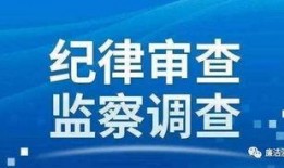 重庆高中爆料新闻报道最新,揭秘校园内幕，师生生活大揭秘
