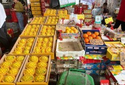 海南水果市场爆料案件最新